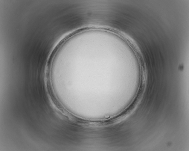 X0000116840580201001291706