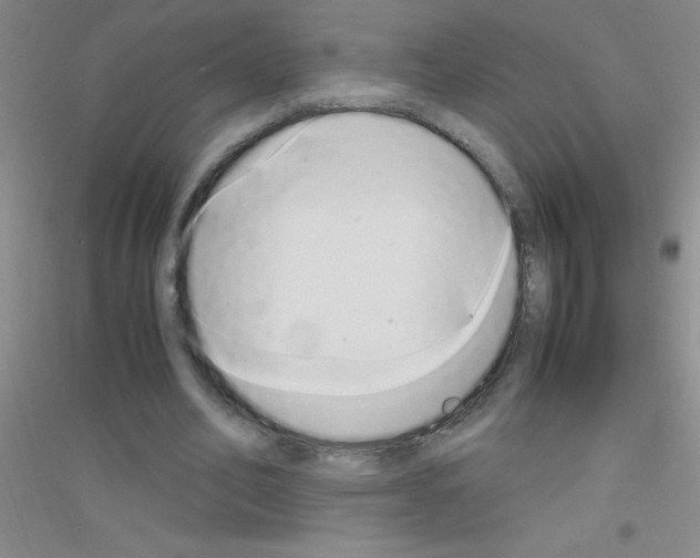 X0000116840582201001291706