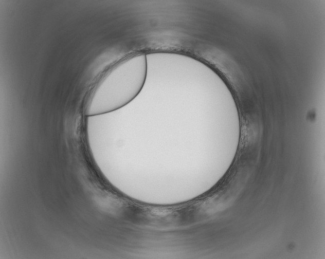 X0000116840583201001291706