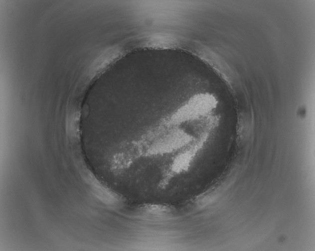 X0000116840585201001291706