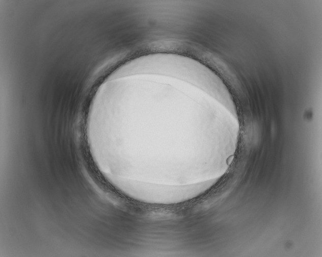 X0000116840586201001291706