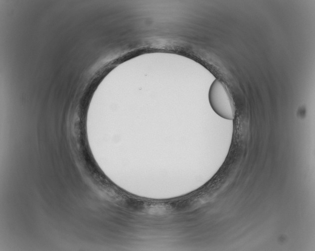 X0000116840587201001291706