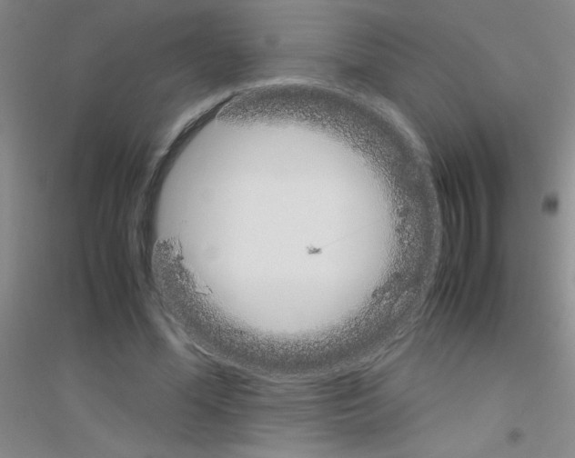 X0000116840588201001291706
