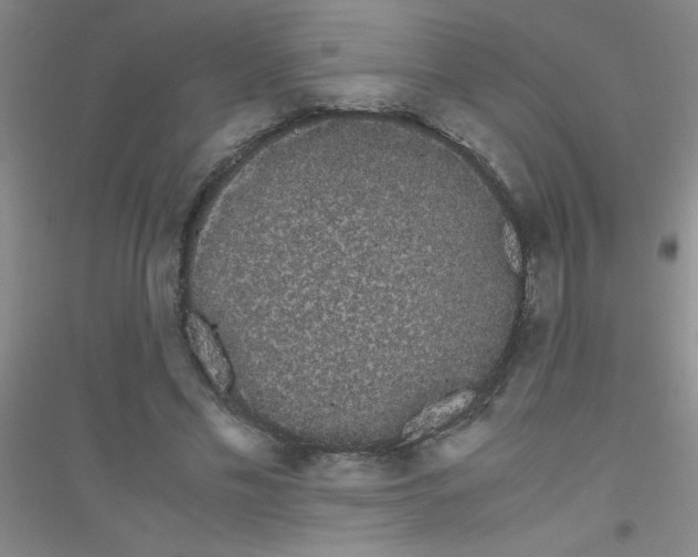 X0000116840589201001291706