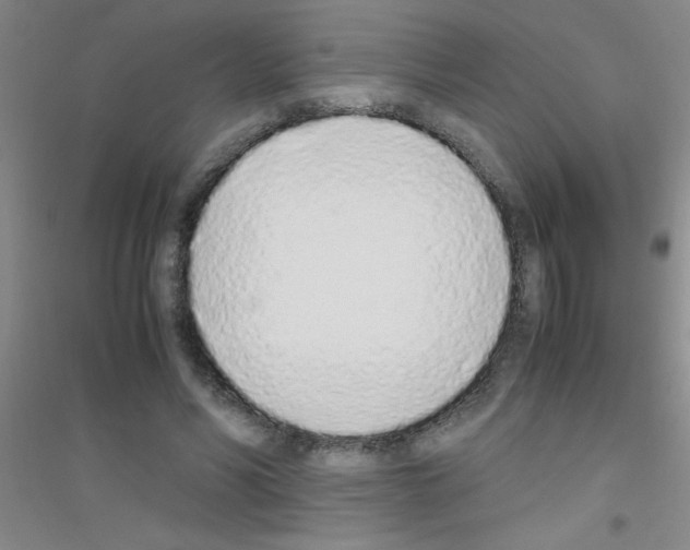 X0000116840590201001291706