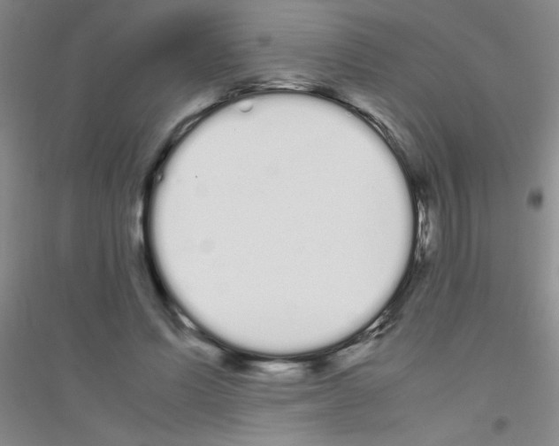 X0000116840591201001291706
