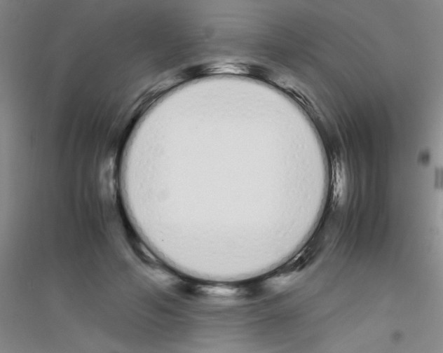 X0000116840594201001291706