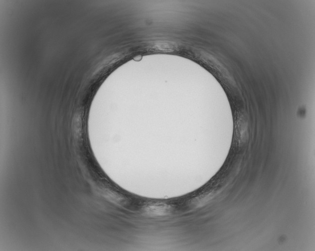 X0000116840595201001291706