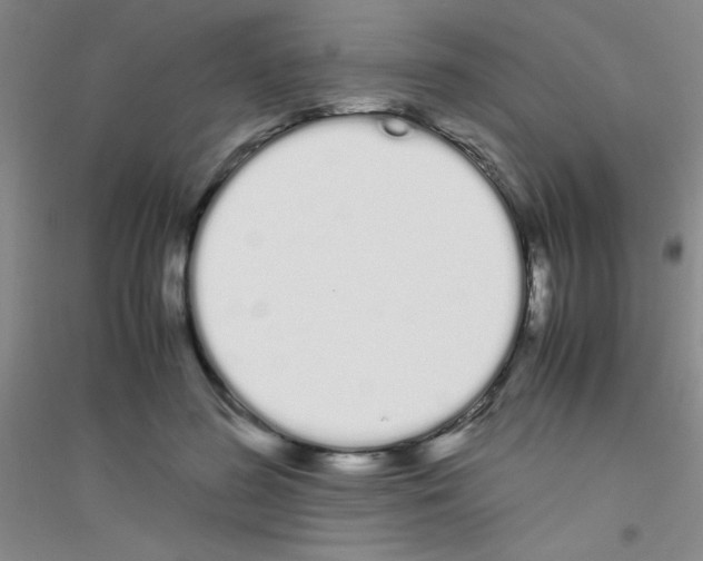 X0000116840596201001291706