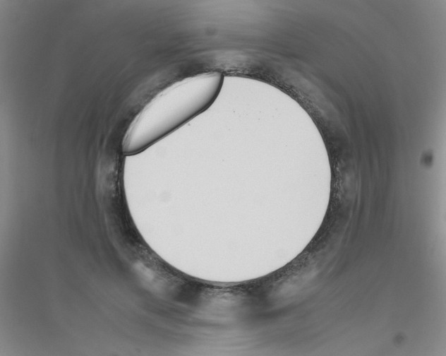 X0000116840597201001291706