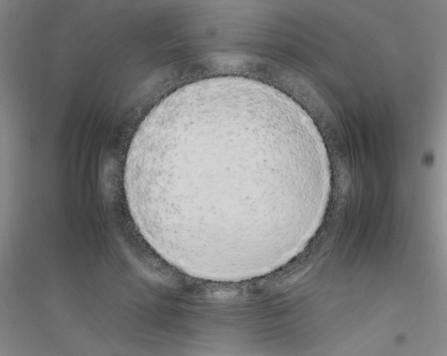 X0000116840598201001291706
