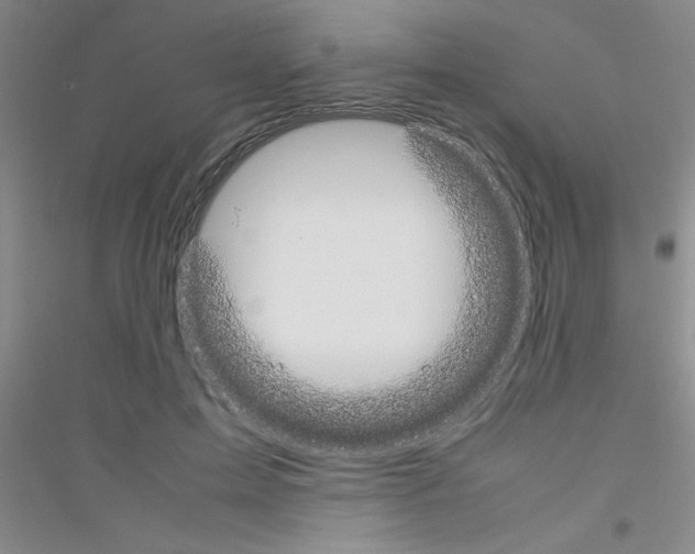 X0000116840599201001291706