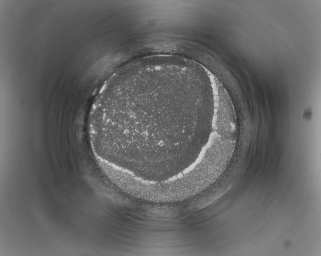 X0000116840600201001291706