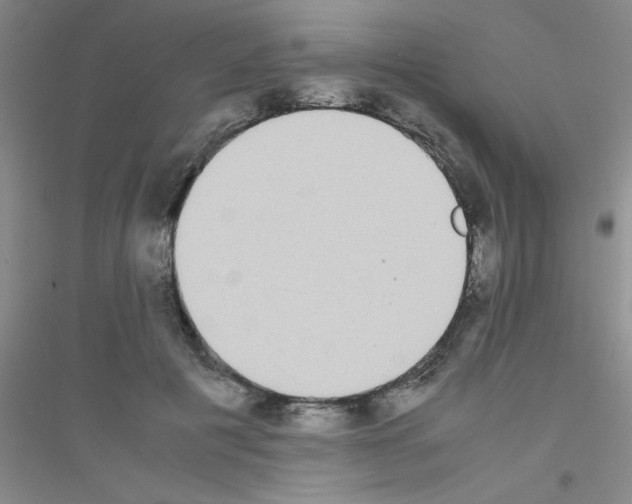 X0000116840601201001291706