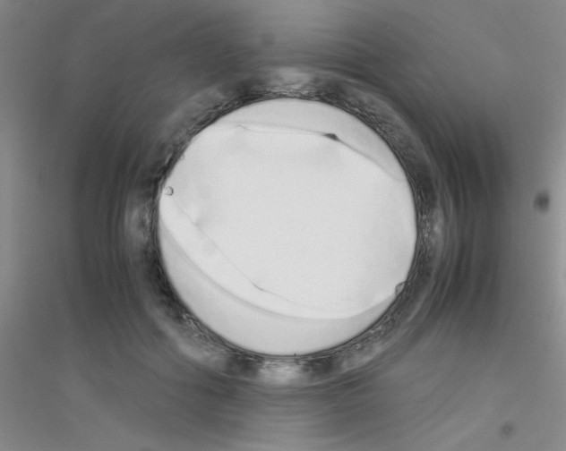X0000116840602201001291706