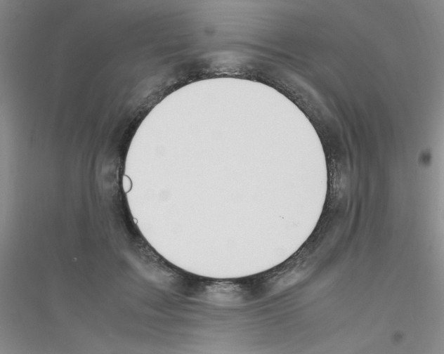 X0000116840603201001291706
