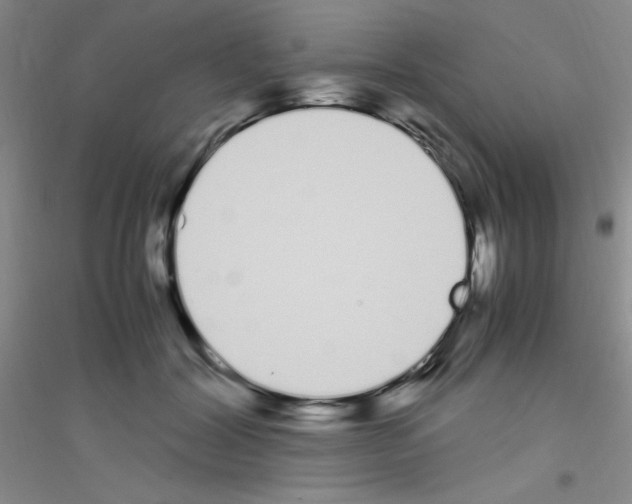 X0000116840604201001291706