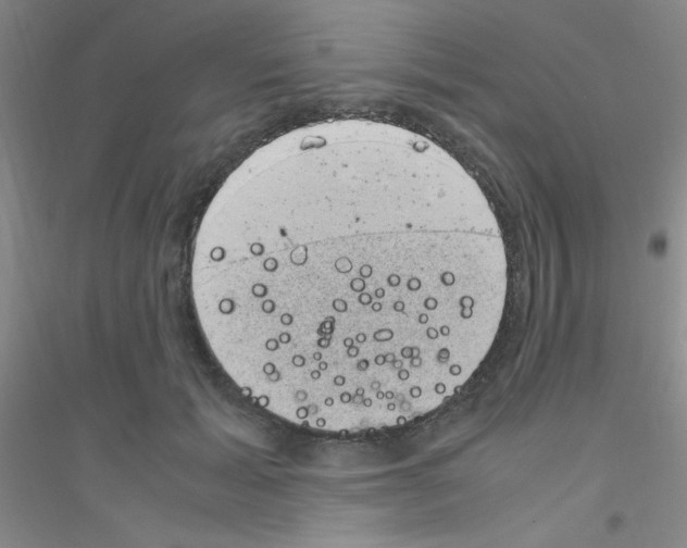 X0000116840605201001291706