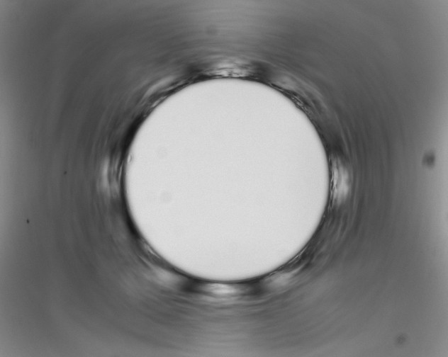 X0000116840607201001291706