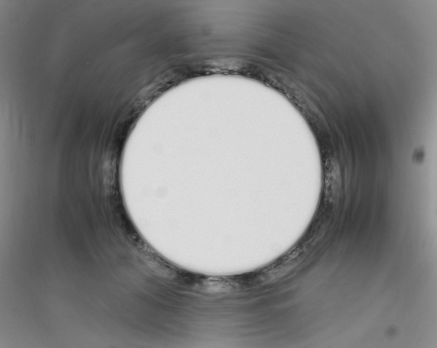 X0000116840608201001291706