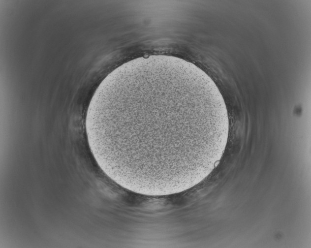 X0000116840609201001291706