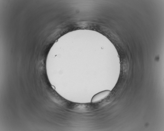 X0000116840611201001291706