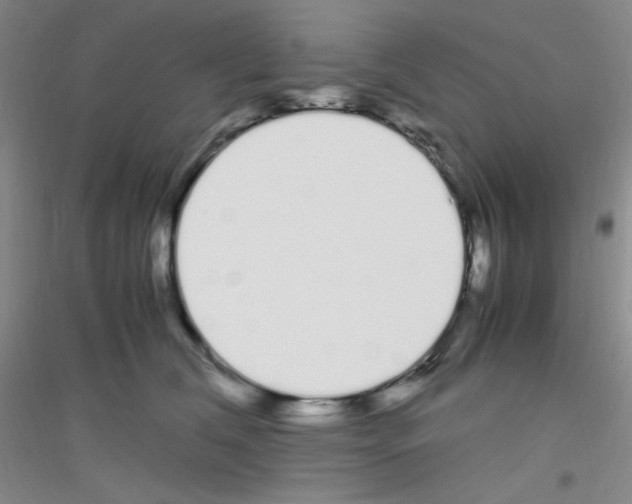 X0000116840612201001291706