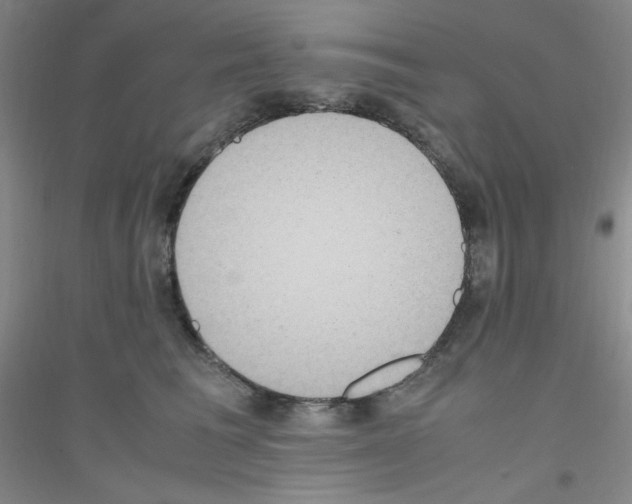 X0000116840613201001291706