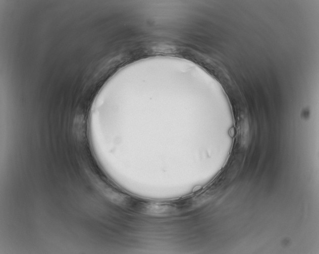 X0000116840614201001291706