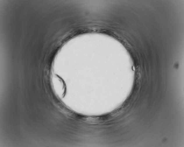 X0000116840615201001291706