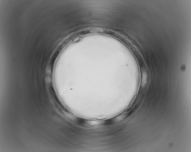 X0000116840616201001291706