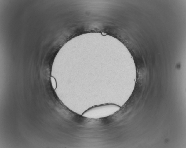 X0000116840617201001291706