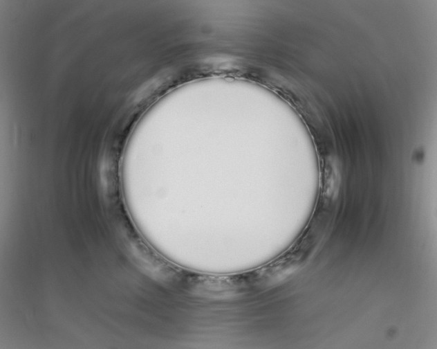 X0000116840618201001291706