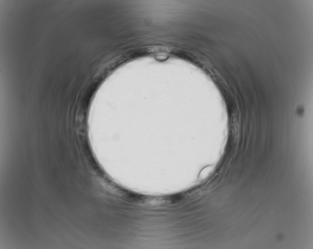 X0000116840619201001291706