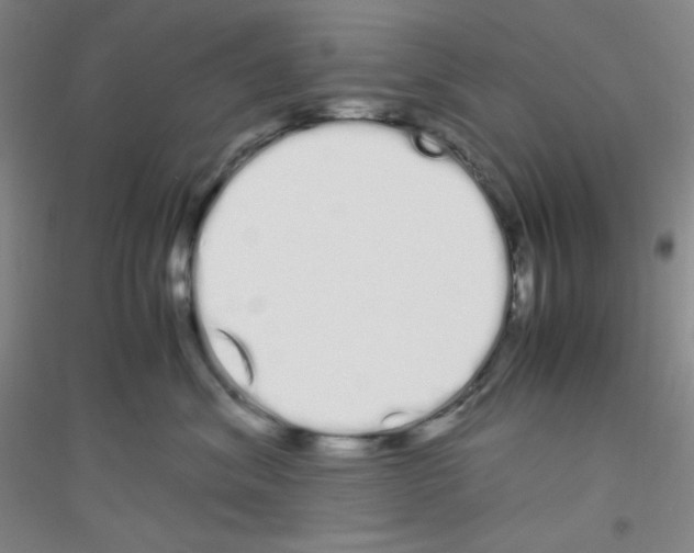 X0000116840620201001291706