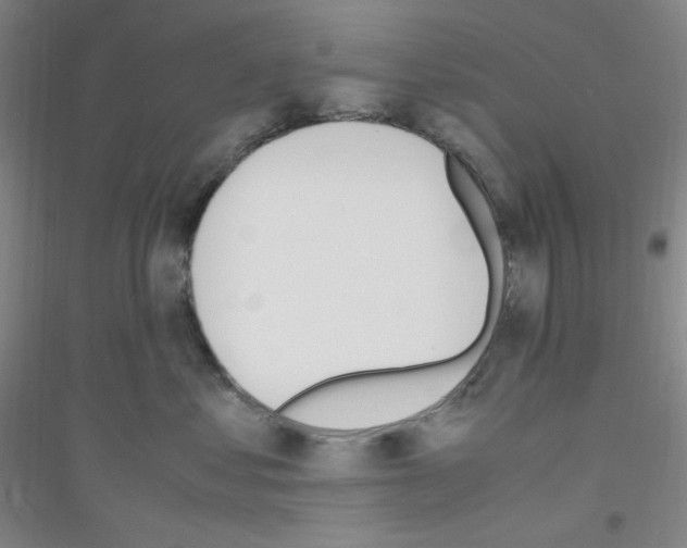 X0000116840621201001291706