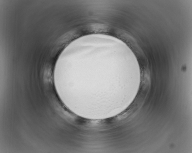 X0000116840622201001291706