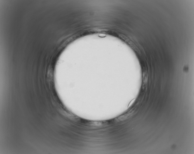 X0000116840623201001291706