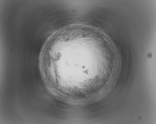 X0000116840624201001291706