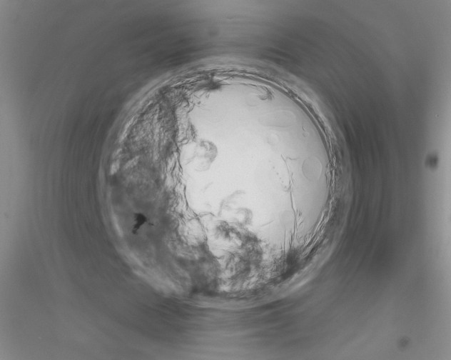X0000116840625201001291705
