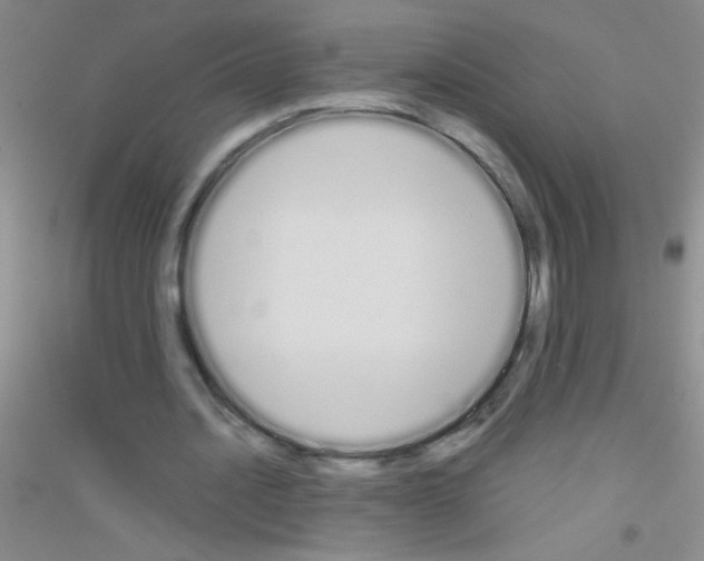 X0000116840628201001291705