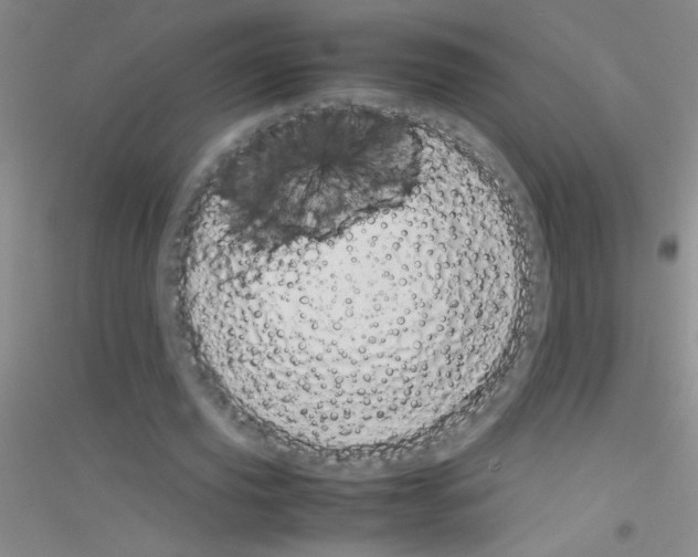 X0000116840629201001291705