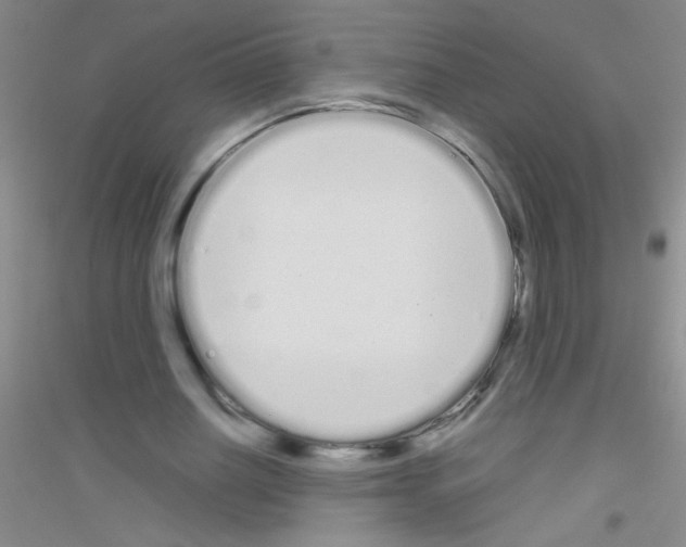 X0000116840630201001291705