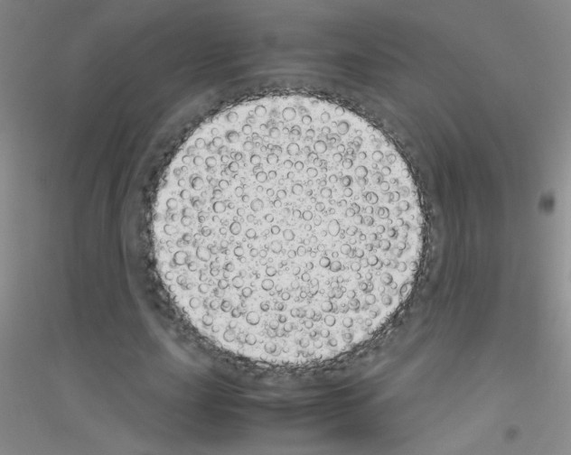 X0000116840631201001291705