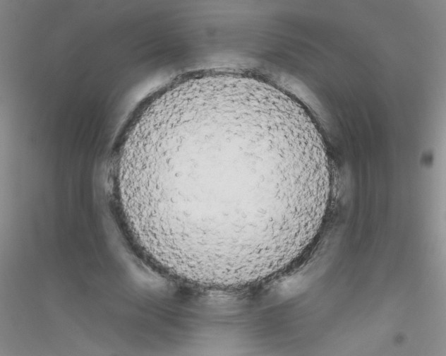 X0000116840632201001291705