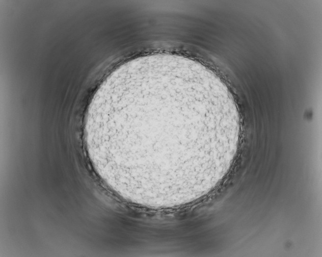 X0000116840633201001291705