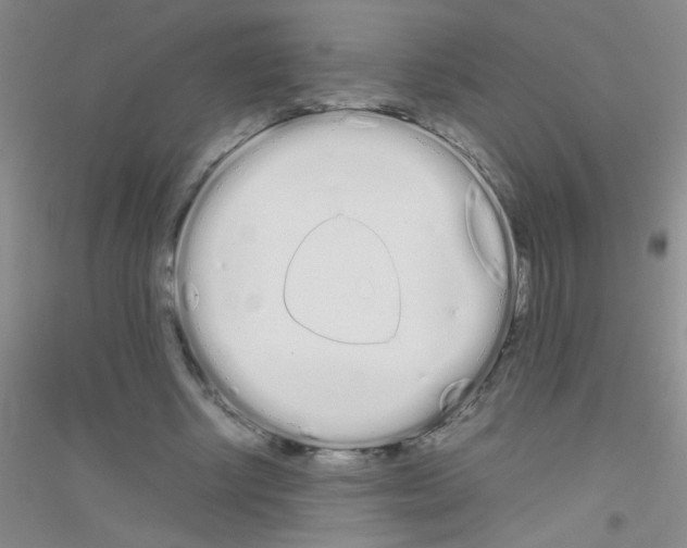 X0000116840634201001291705