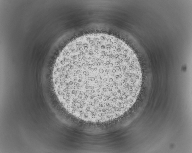 X0000116840635201001291705