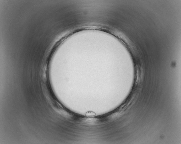 X0000116840636201001291705