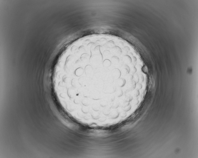 X0000116840638201001291705